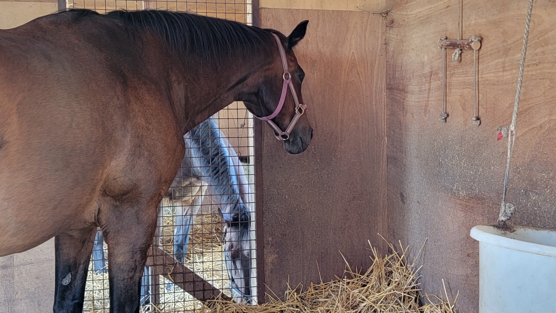 a373f2a3b401f75997ceb2f062371813-1760933911.jpg a373f2a3b401f75997ceb2f062371813-1760933911.jpg